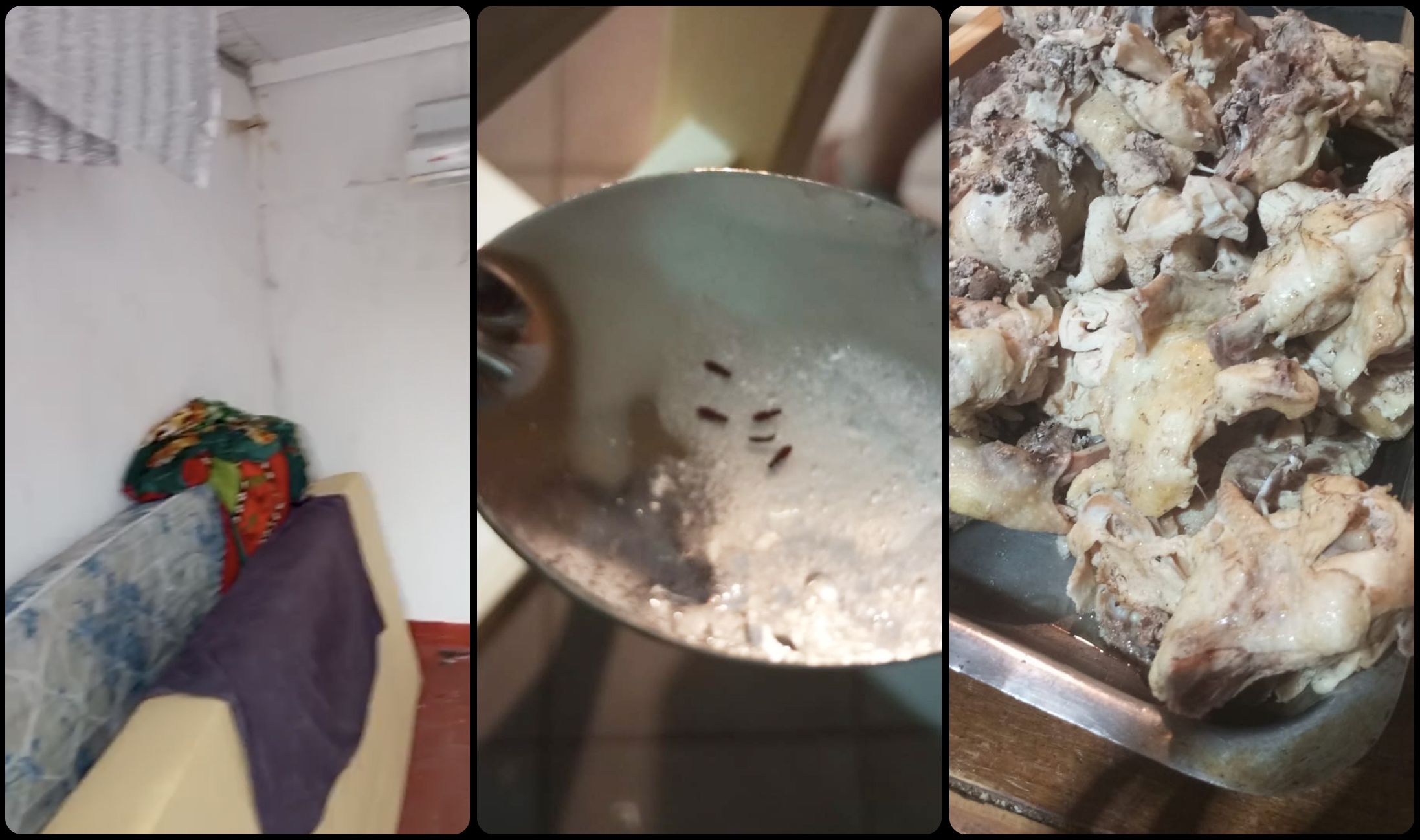 阿根廷足球青训黑幕：天才工厂背后的残酷真相